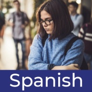 Bullying Interventions for Organizations (SPANISH)